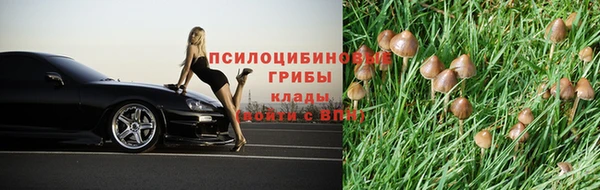 наркотики Лиски