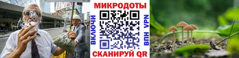 Галлюциногенные грибы мицелий  даркнет сайт  Медынь 